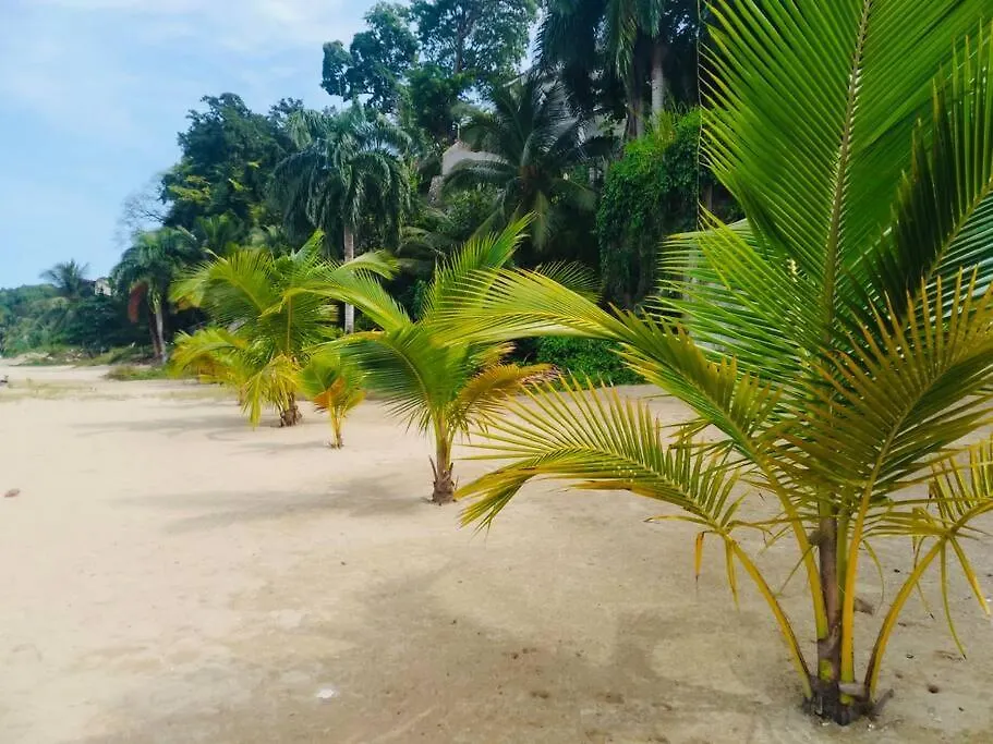 Bourne Paradise Villa Oracabessa Jamaika